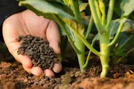 تصویر 4 از کودهای ارگانیک و بیولوژیک + خرید فوق العاده